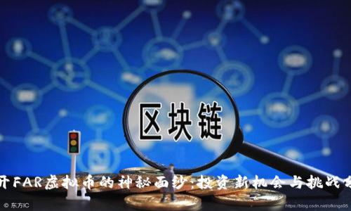 揭开FAR虚拟币的神秘面纱：投资新机会与挑战分析