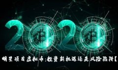 明星项目虚拟币：投资新
