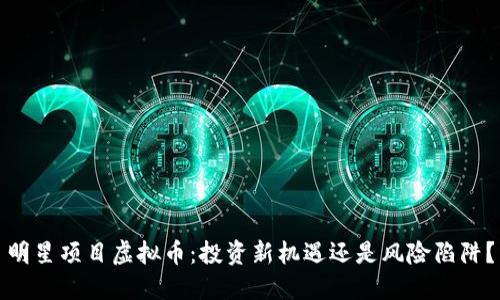 明星项目虚拟币：投资新机遇还是风险陷阱？