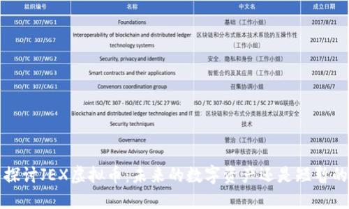  深入探讨JEX虚拟币：未来的数字资产还是短暂的热潮？