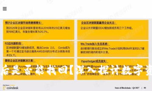 TPWallet被盗后是否能找回？深入探讨数字资产安全与保护