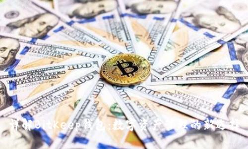详解BitKeep钱包：数字资产管理的新选择