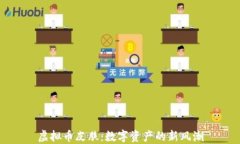 虚拟币皮肤：数字资产的