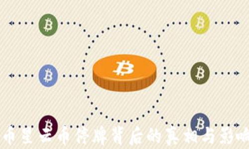 
虚拟币星云币停牌背后的真相与影响分析