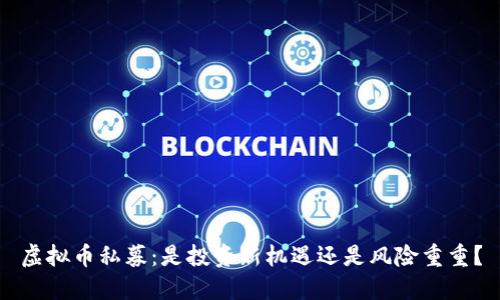 虚拟币私募：是投资新机遇还是风险重重？