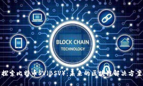 探索比特币SV（BSV）：未来的区块链解决方案