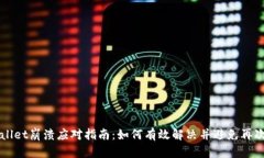 TPWallet崩溃应对指南：如何