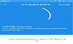 探究Upay数字钱包的安全性