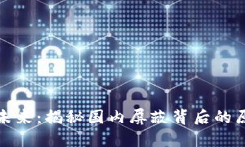 虚拟币的未来：揭秘国内屏蔽背后的原因与影响