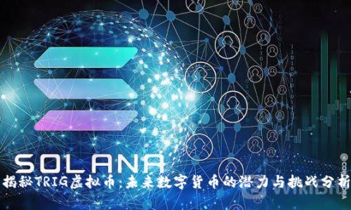 揭秘TRIG虚拟币：未来数字货币的潜力与挑战分析