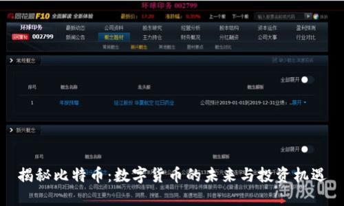 揭秘比特币：数字货币的未来与投资机遇