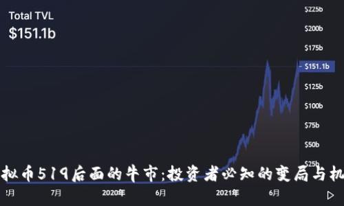虚拟币519后面的牛市：投资者必知的变局与机会