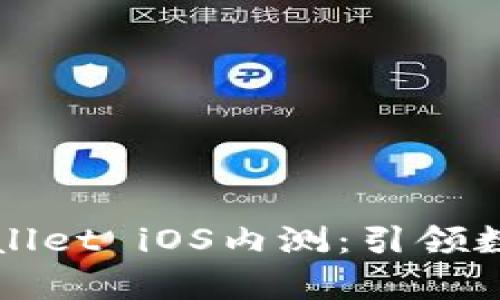 全面解析TPWallet iOS内测：引领数字钱包新潮流