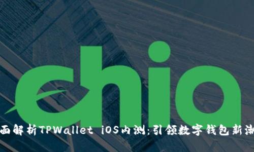 全面解析TPWallet iOS内测：引领数字钱包新潮流