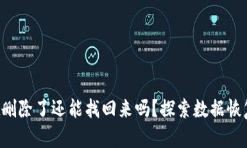  TPWallet删除了还能找回来吗？探索数据恢复的可能性