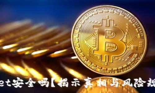   
TPWallet安全吗？揭示真相与风险规避策略