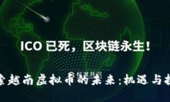 探索越南虚拟币的未来：