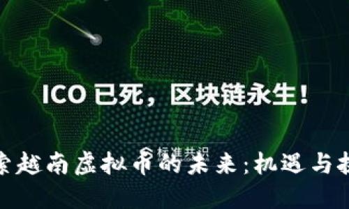 探索越南虚拟币的未来：机遇与挑战