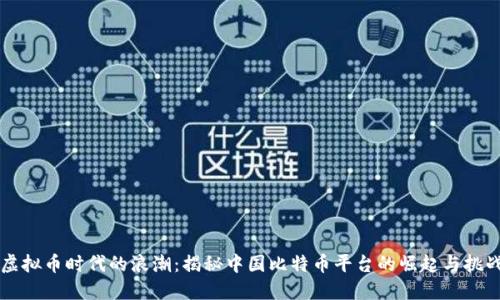 虚拟币时代的浪潮：揭秘中国比特币平台的崛起与挑战