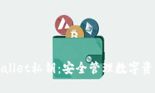 理解TPWallet私钥：安全管理数字资产的关键