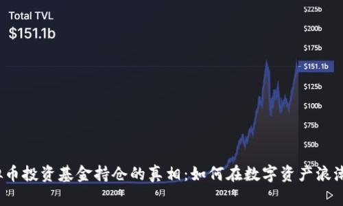 揭开虚拟币投资基金持仓的真相：如何在数字资产浪潮中立足？