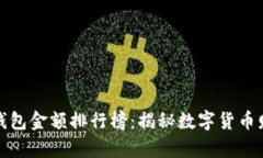 TP观察钱包金额排行榜：揭