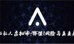 揭秘私人虚拟币：价值、风险与未来趋势