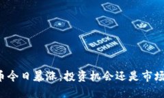虚拟币今日暴涨：投资机会还是市场泡沫？