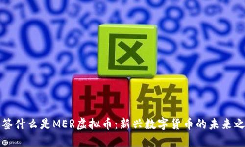 标签什么是MER虚拟币：新兴数字货币的未来之路