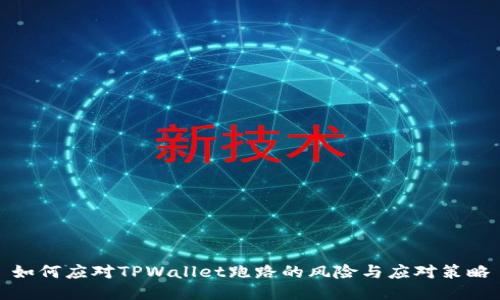 如何应对TPWallet跑路的风险与应对策略