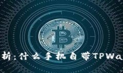 全解析：什么手机自带TPWallet？