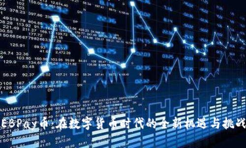 EBPay币：在数字货币时代的全新机遇与挑战