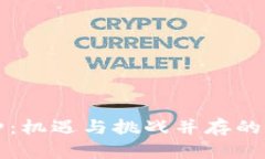 虚拟币首发币种：机遇与挑战并存的数字货币新