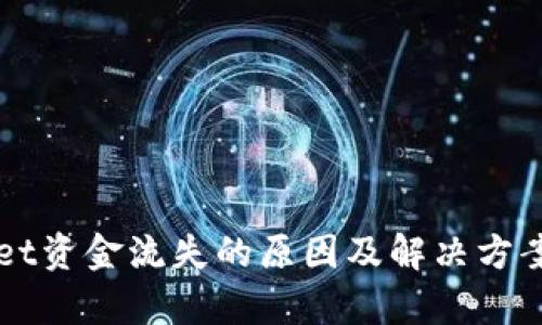 TPWallet资金流失的原因及解决方案大解析