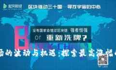 虚拟币市场的波动与机遇