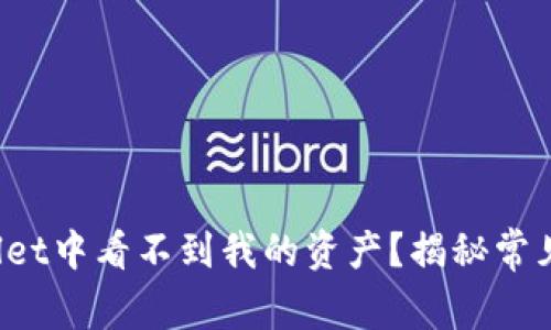  为什么在TPWallet中看不到我的资产？揭秘常见问题及解决方案
