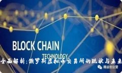 全面解析：俄罗斯虚拟币