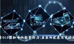 探索OLO虚拟币的投资潜力