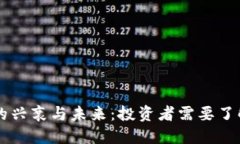 虚拟币市场的兴衰与未来