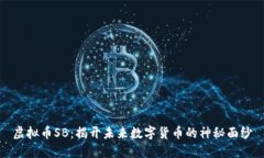 虚拟币SB：揭开未来数字货