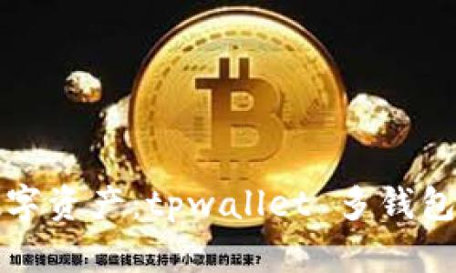 轻松管理你的数字资产：tpwallet 多钱包设置的全面指南