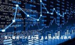深入解析MIM虚拟币：未来