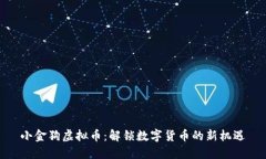 小金狗虚拟币：解锁数字