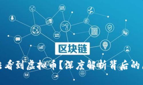 接收成功却无法看到虚拟币？深度解析背后的原因与解决方法