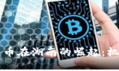 白虚拟货币在湖南的崛起