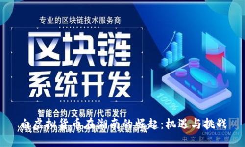 白虚拟货币在湖南的崛起：机遇与挑战