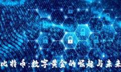   比特币：数字黄金的崛起与未来
