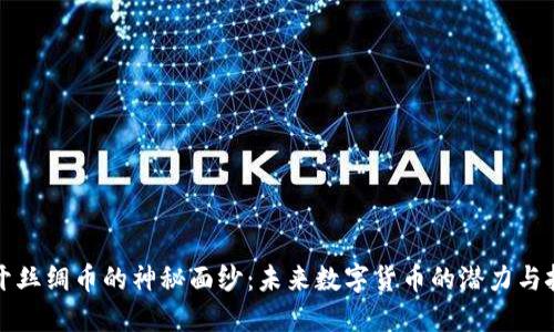 揭开丝绸币的神秘面纱：未来数字货币的潜力与挑战