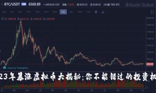 2023年暴涨虚拟币大揭秘：你不能错过的投资机会！