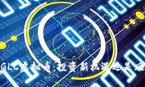 揭秘MAGLC虚拟币：投资新机遇还是风险陷阱？
